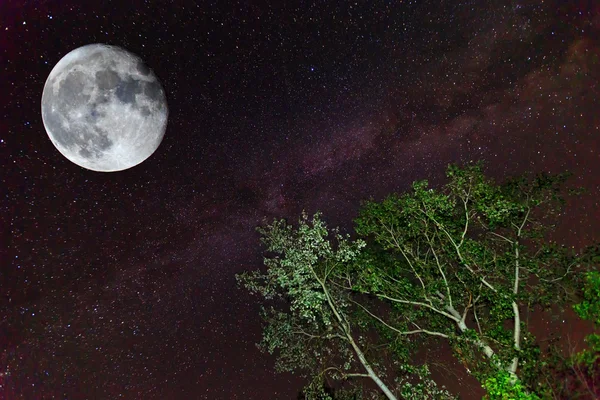 Cielo nocturno — Foto de Stock