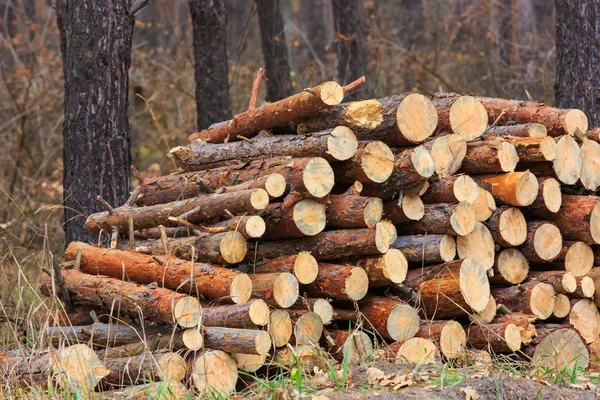 Deposito legna da ardere — Foto Stock