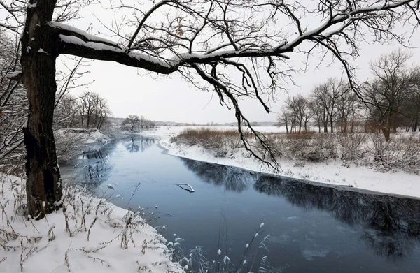 Scène d'hiver sur la rivière — Photo