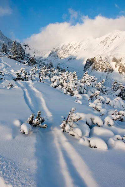 在 mopuntains 的滑雪路径 — 图库照片