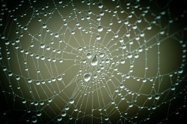 çiğ olarak Web