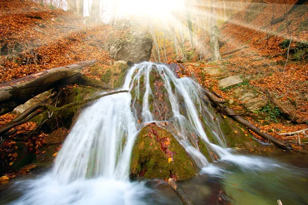 Cachoeira na floresta de auumn — Fotografia de Stock