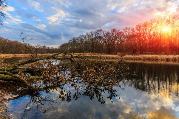 Abend am alten See — Stockfoto