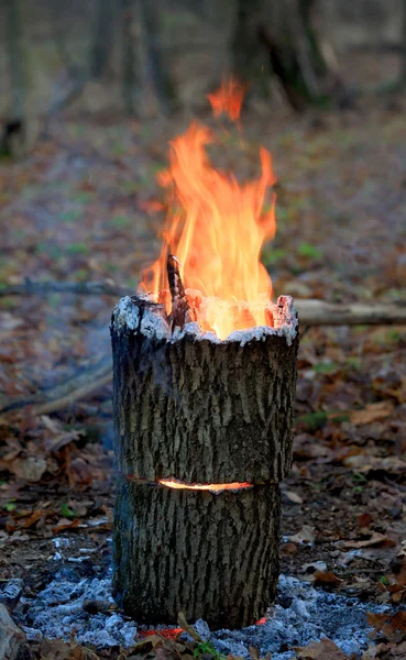 Feu de camp chaud — Photo