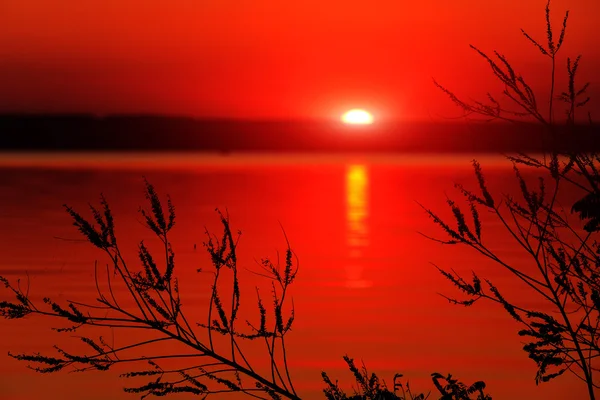 湖に沈む夕日 — ストック写真