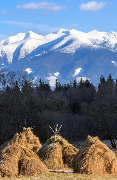 Haystack's on mountain meadow — Stock Photo, Image