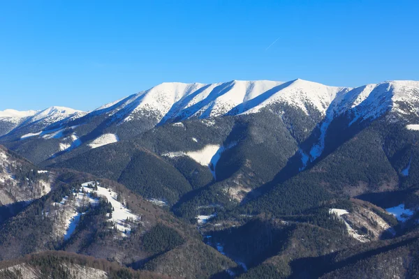 Winterbergszene in der Slowakei — Stockfoto