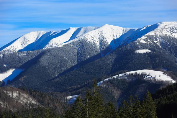 Winter berg scène in Slowakije — Stockfoto