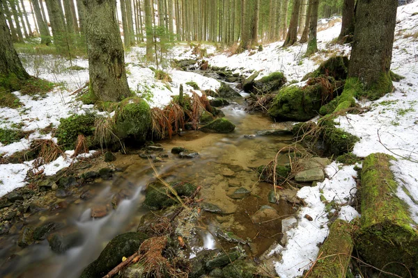 Горный ручей в лесу в зимнее время — стоковое фото
