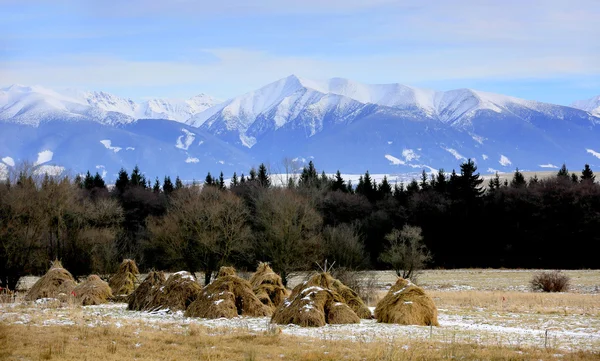 Haystack's on Tatra mountains background — Stock Photo, Image