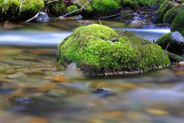 Moss-covered stone in mountain stream