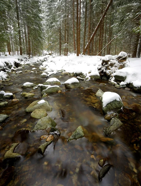 Bonito río de montaña en bosque de invierno — Foto de Stock