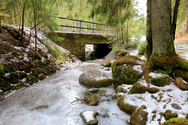 Donmuş nehir üzerinde köprü — Stok fotoğraf