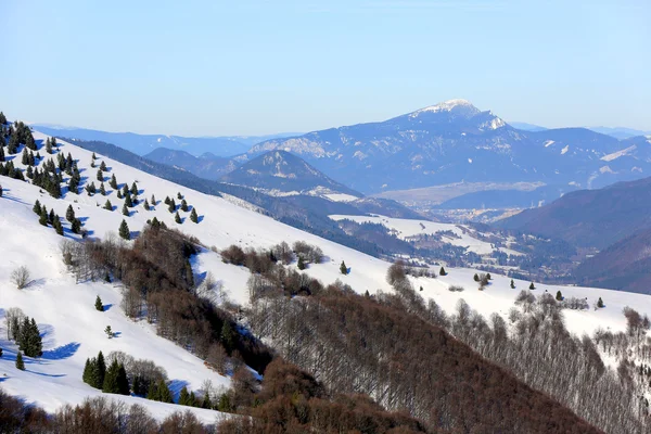 Scena invernale in montagna — Foto Stock