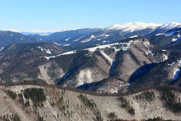 Scène hivernale en montagne — Photo