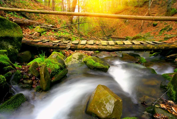 Puente de madera en bosque de otoño — Foto de Stock