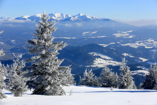 Scena invernale in montagna — Foto Stock