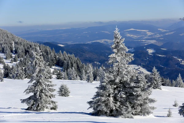 Vinter scen i bergen — Stockfoto