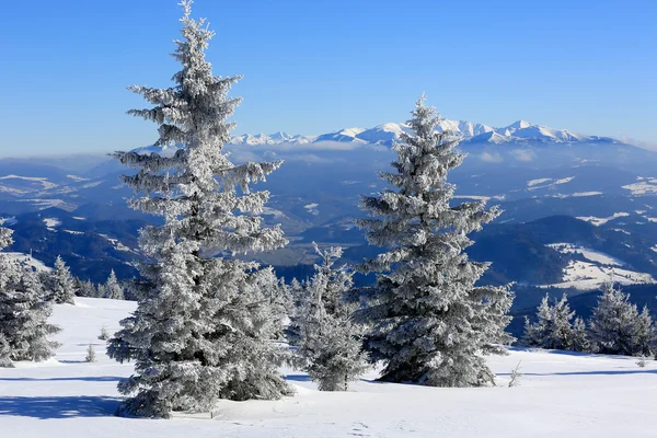 Vinter scen i bergen — Stockfoto