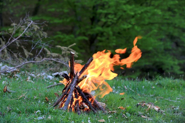 Foc de tabără pe pajişte verde — Fotografie, imagine de stoc