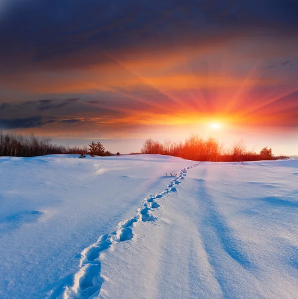 Coucher de soleil et sentier sur la neige Images De Stock Libres De Droits