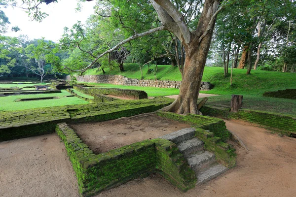 Gammal trädgård i sigiriya — Stockfoto