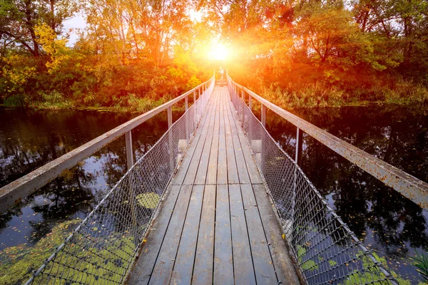 Liten bro över floden i skogen — Stockfoto