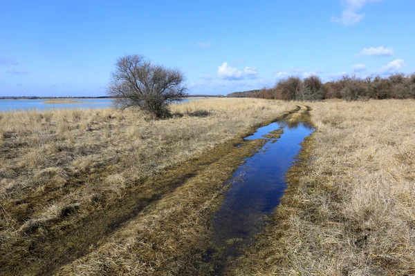 Landelijke weg in de steppe — Stockfoto