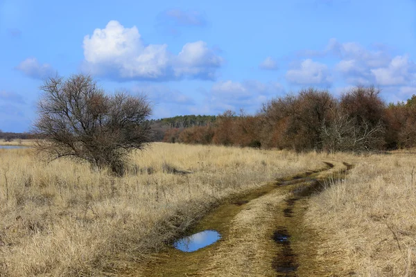 Trampelpfad in der Steppe zur Frühlingszeit — Stockfoto