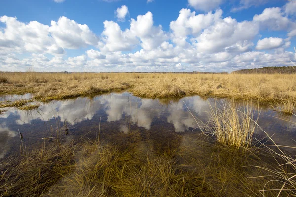 Pequeño lago en la estepa — Foto de Stock