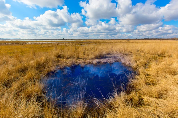 Small lake — Stock Photo, Image