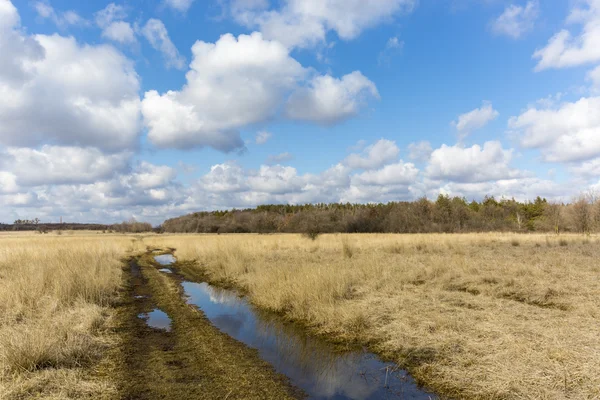 Spring rut road on meadow — Stock Photo, Image