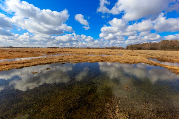 Small lake on meadow — Stock Photo, Image