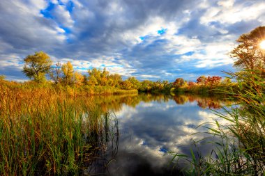 Göl kenarında sonbahar sahne 