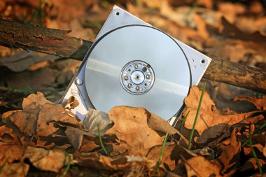 Broken computer hard drive in forest clipart