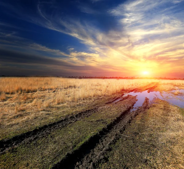 Evening rut road in steppe — Stock Photo, Image