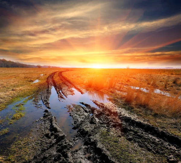 Camino de tierra en la estepa en el fondo del atardecer —  Fotos de Stock