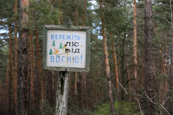 Tablero de información en el bosque — Foto de Stock