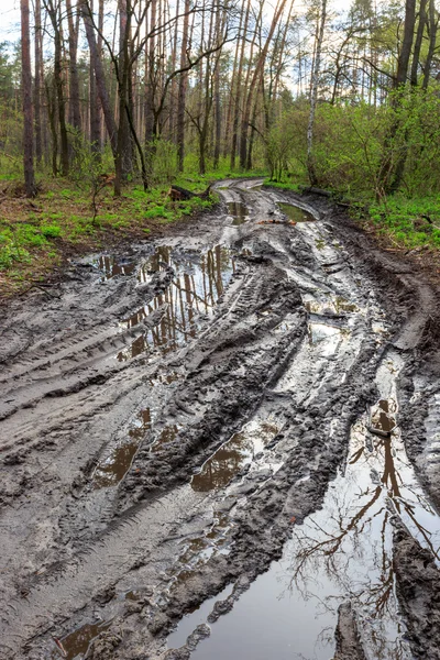 Відсутність доріг — стокове фото