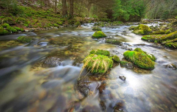 Mountain floden med gröna stenar — Stockfoto