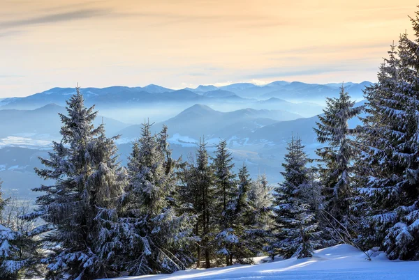 Cena de inverno nas montanhas — Fotografia de Stock