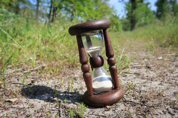 Hourglass in forest — Stock Photo, Image