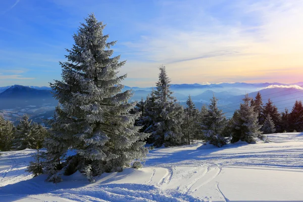 Winterszene in den Bergen — Stockfoto