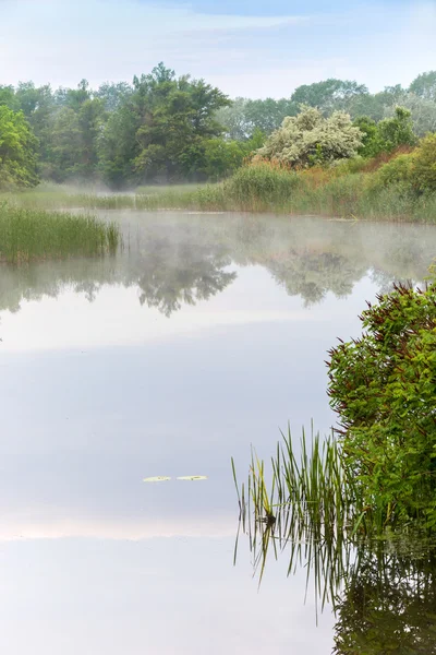 Morgon scen på floden — Stockfoto