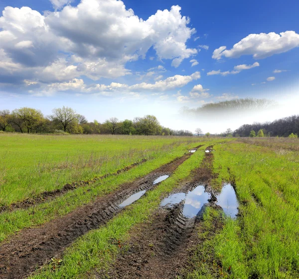 Rut road on flooded meadow — Stock Photo, Image