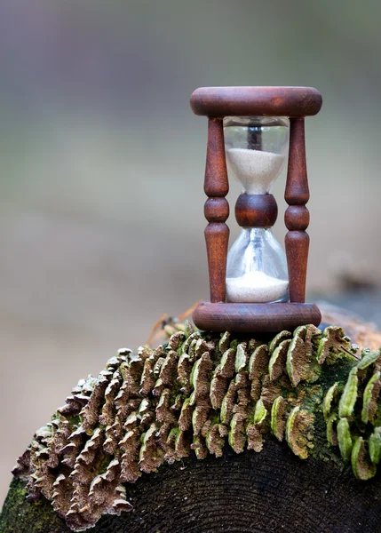 Reloj de arena abstracto en el registro de madera — Foto de Stock