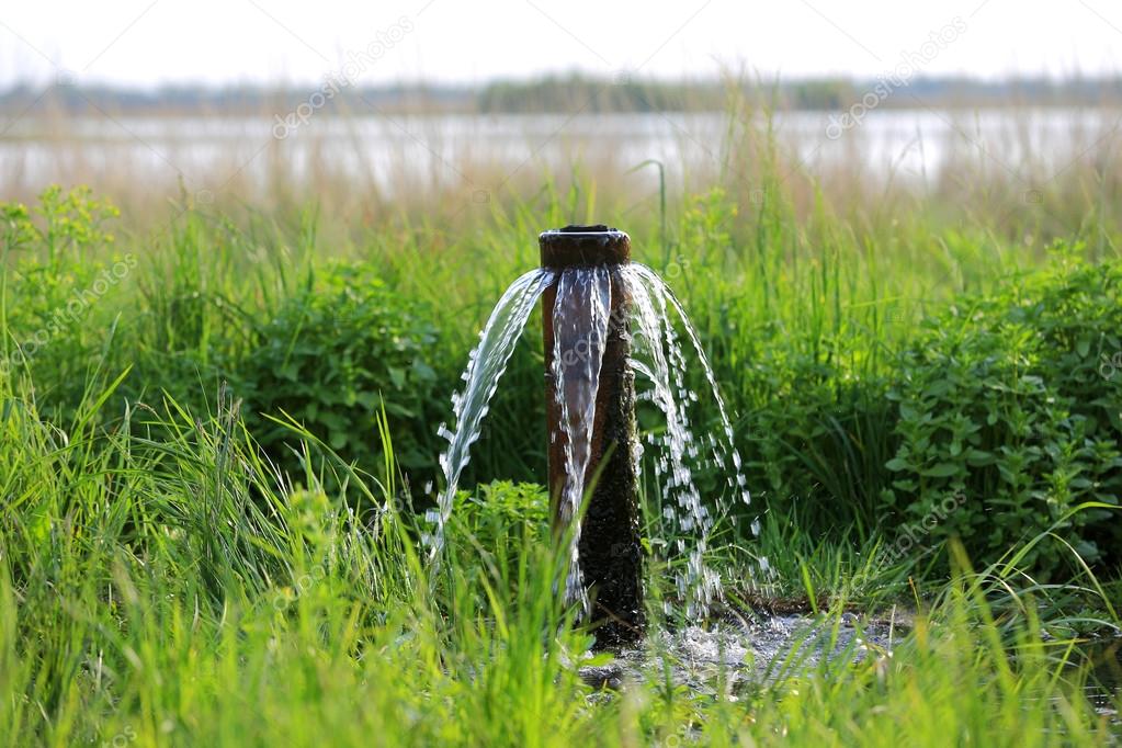 water source on meadow in steppe