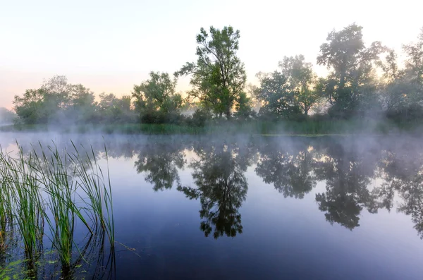 Утренняя сцена на реке — стоковое фото