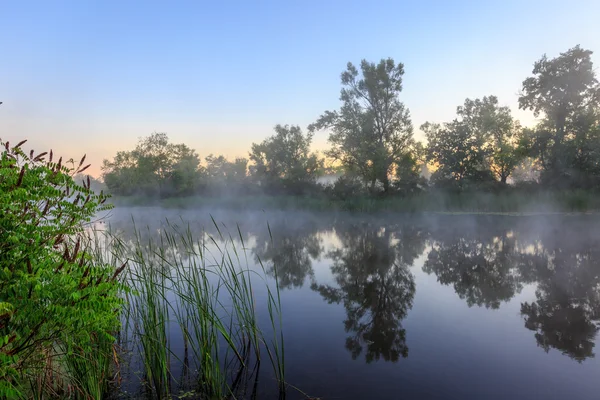 Ранний монринг на озере — стоковое фото