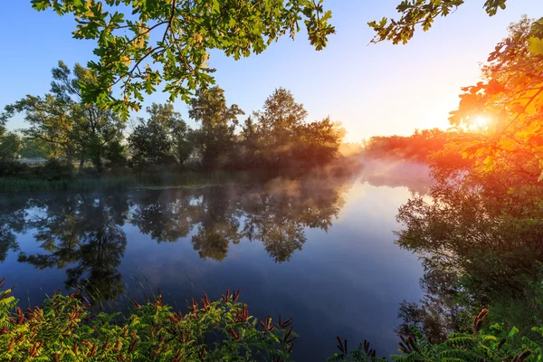 Zonsopgang over rivier met ochtendmist — Stockfoto